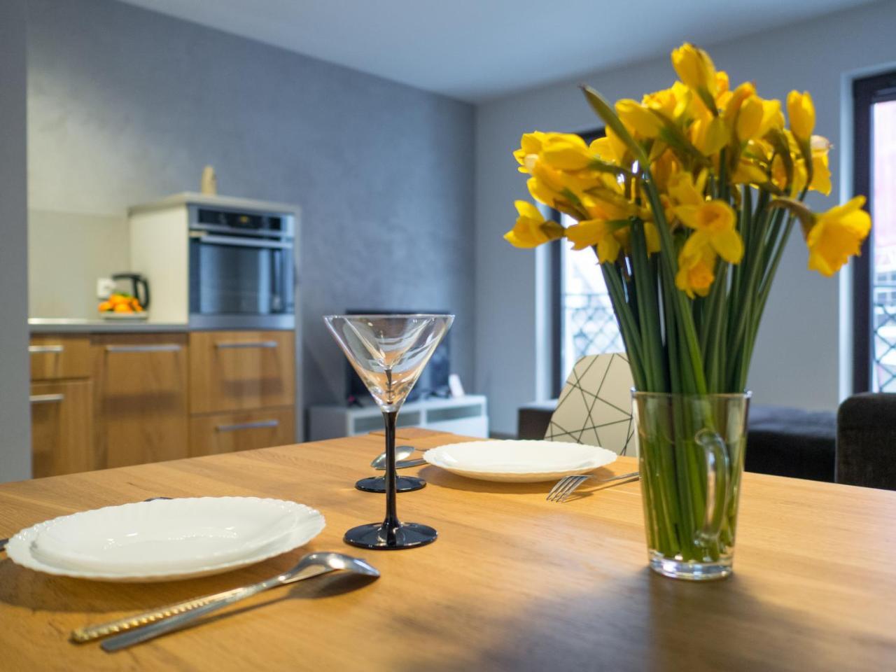 Great Apartament Mlynowa Apartment Bialystok Ngoại thất bức ảnh